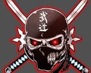 SkullNinja