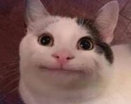 Oumi