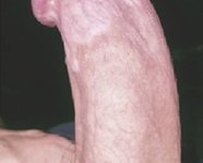 ravio12345