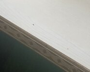 New_short_video