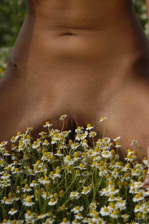 European brunette girl models in the nude with flowers in camomile field