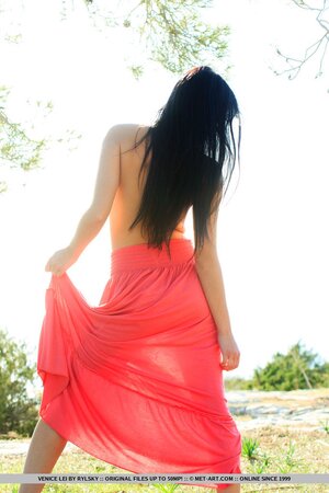 Drop-dead gorgeous brunette with stunning face poses nude at outdoor photo shoot
