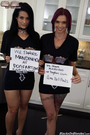 Pornstars' slits are wet so their owners are available to be blacked