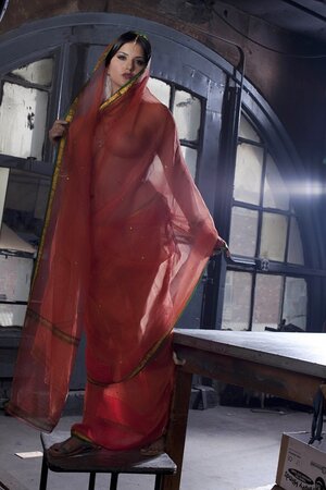 Diva in a transparent red sari fails to hide her big melons with dark nipples