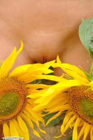 Amateur girl with long legs is posing with the sunflowers