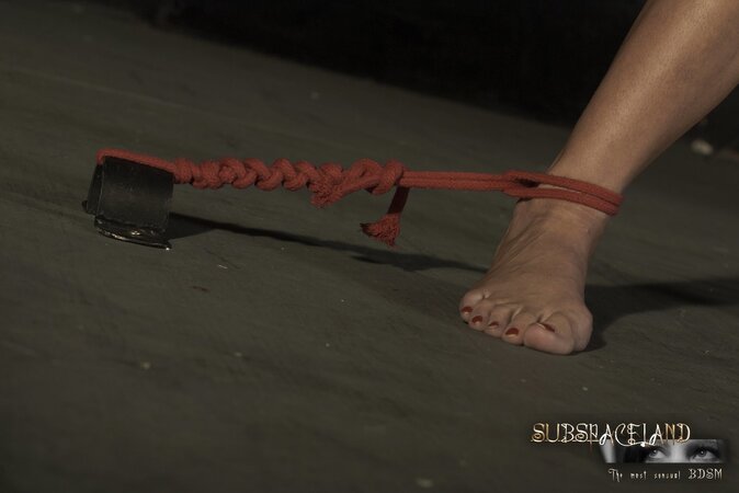 Lecherous blonde girl enjoys tormentor's penis inside mouth being tied up