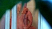 Destiny Blonde performing oral and getting plowed by her lover