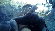A blonde is getting her pussy rammed under the water in the pool