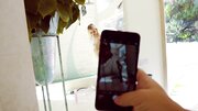 Man was just spying on Chloe Cherry as she asked him fucking