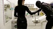 Perverted mistress is playing with tied-up gimp's cock and balls